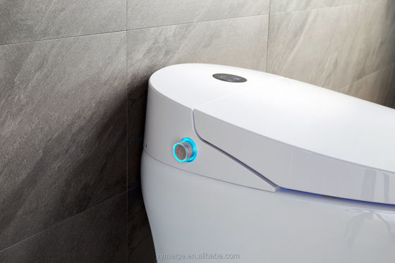 오피스 빌딩 럭셔리 하부 Cistern 에코 스마트 자동 지능형 화장실 조절 온도 및 기술 기능